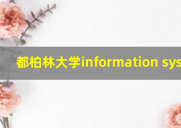 都柏林大学information system